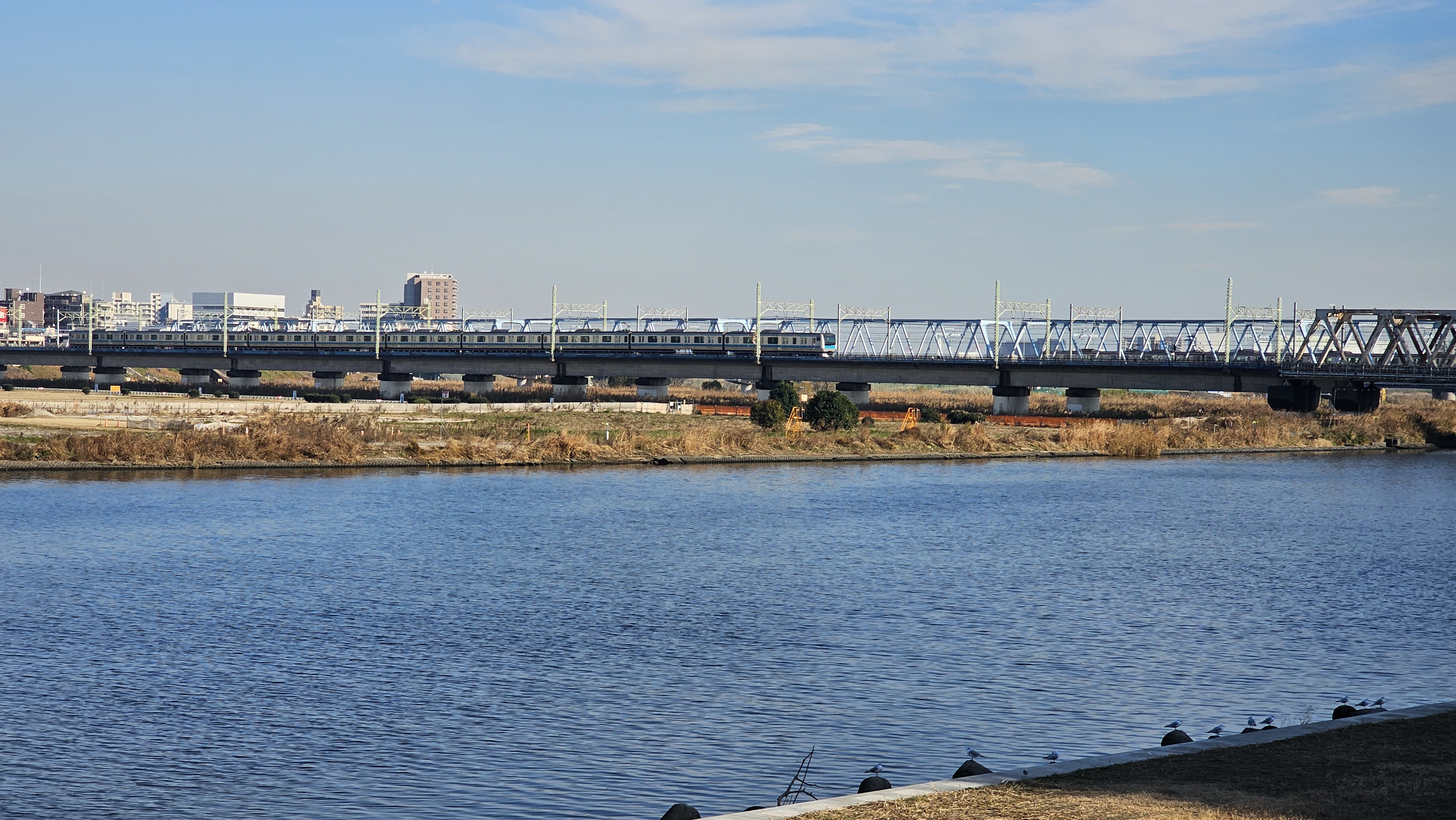 Tama River
