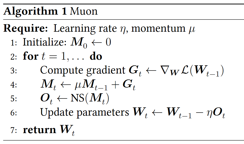 Muon Algorithm